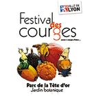 LOGO - festival LOGO - festival