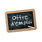 Offres d'emploi