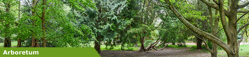 Plantes carnivores - Jardin botanique de Lyon