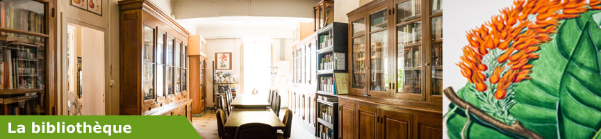 bandeau bibliotheque bandeau bibliotheque
