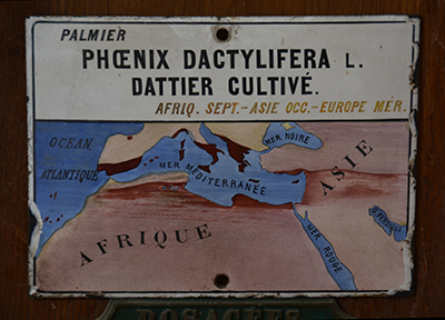 plaque plaque