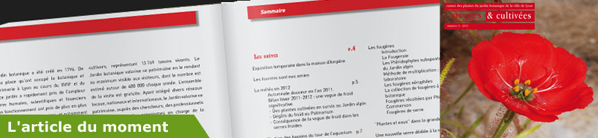bandeau article du moment bandeau article du moment