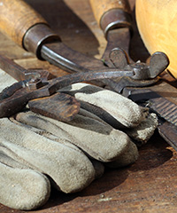 ILLUSTRATION - PREPARONS L'HIVER.jpg ILLUSTRATION - PREPARONS L'HIVER.jpg