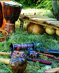 ILLUSTRATION_ PLANTES A MUSIQUE ILLUSTRATION_ PLANTES A MUSIQUE