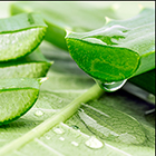 LOGO - PLANTES MEDICINALES.jpg LOGO - PLANTES MEDICINALES.jpg