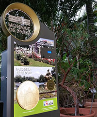 ILLUSTRATION_médaille_PTO ILLUSTRATION_médaille_PTO