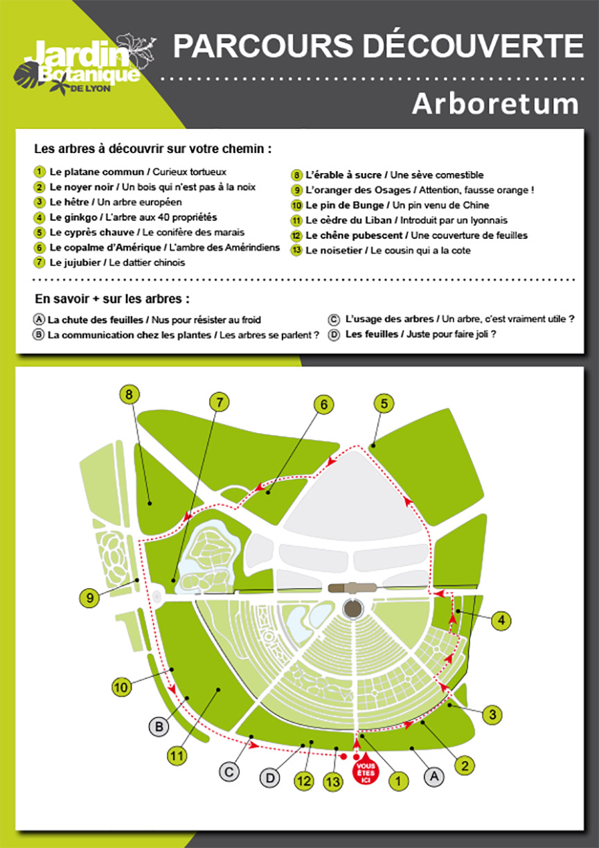 Circuit