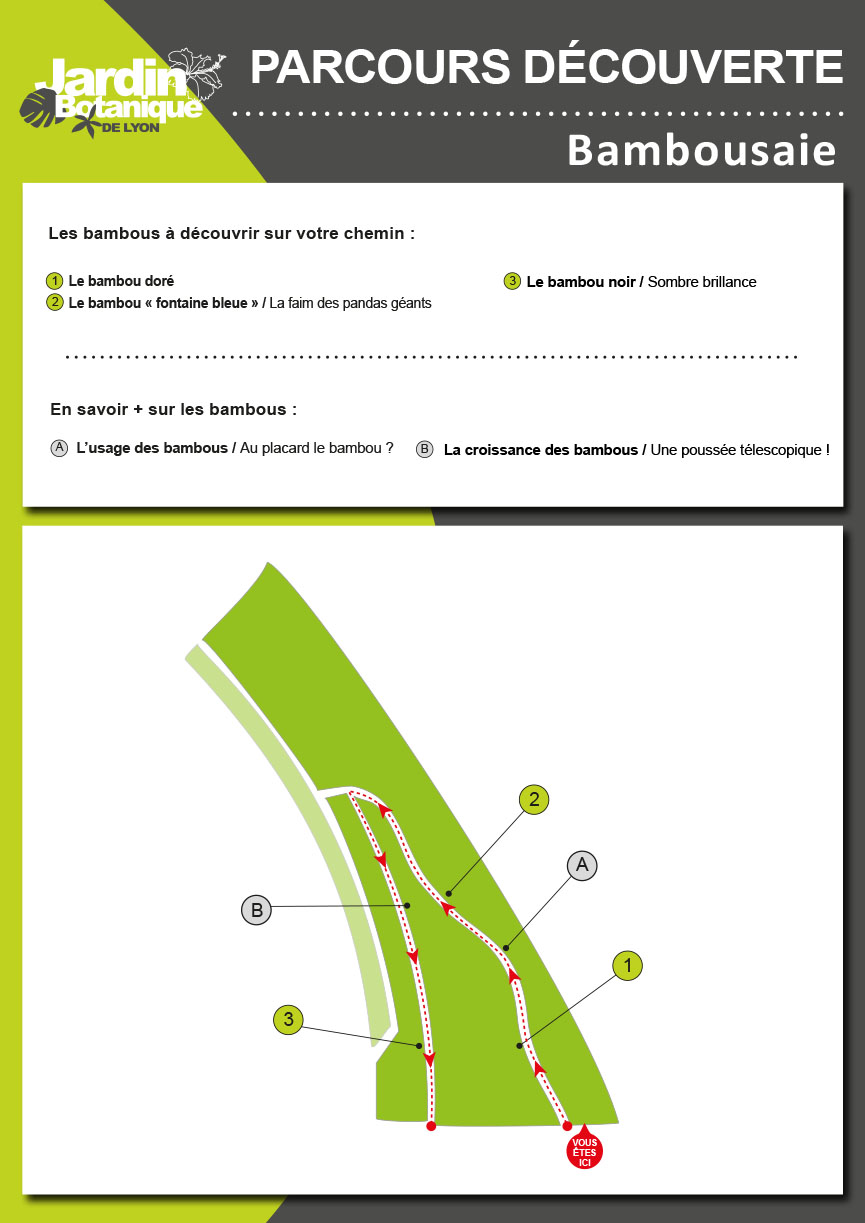Circuit
