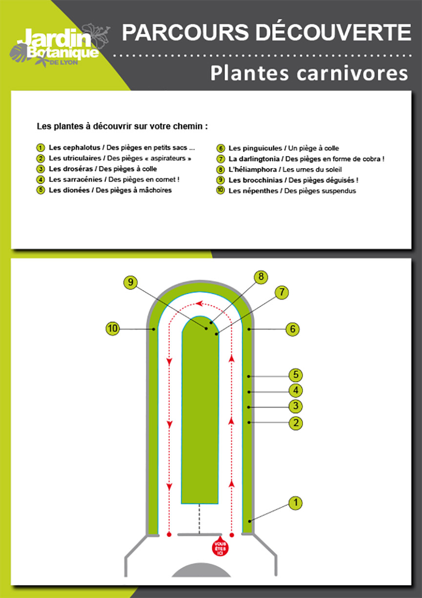 Circuit