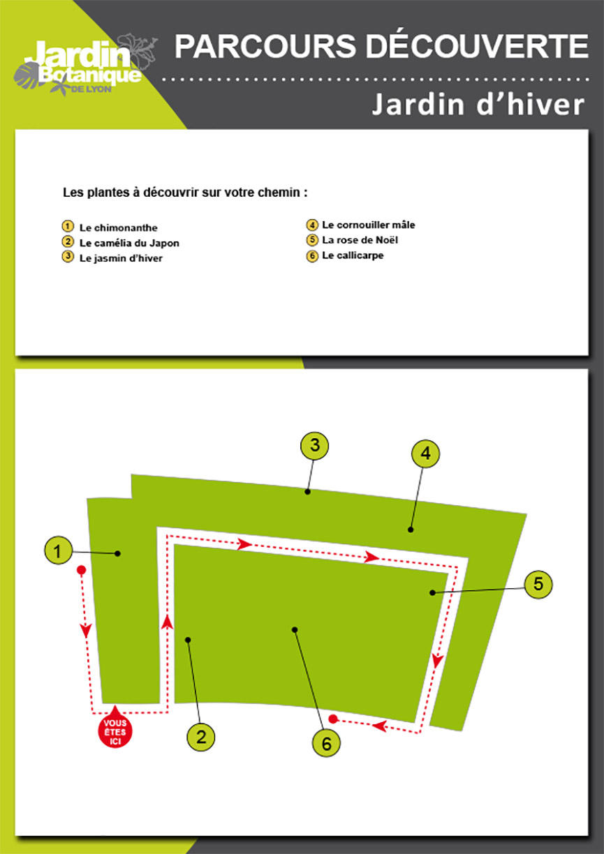 Circuit