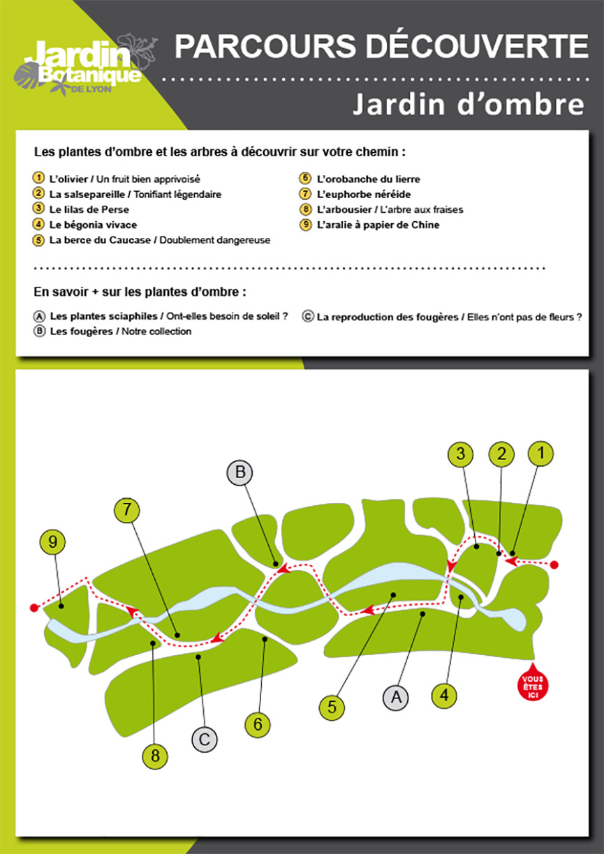 Circuit