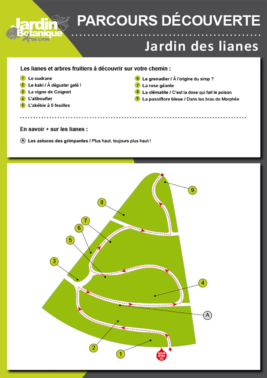Circuit