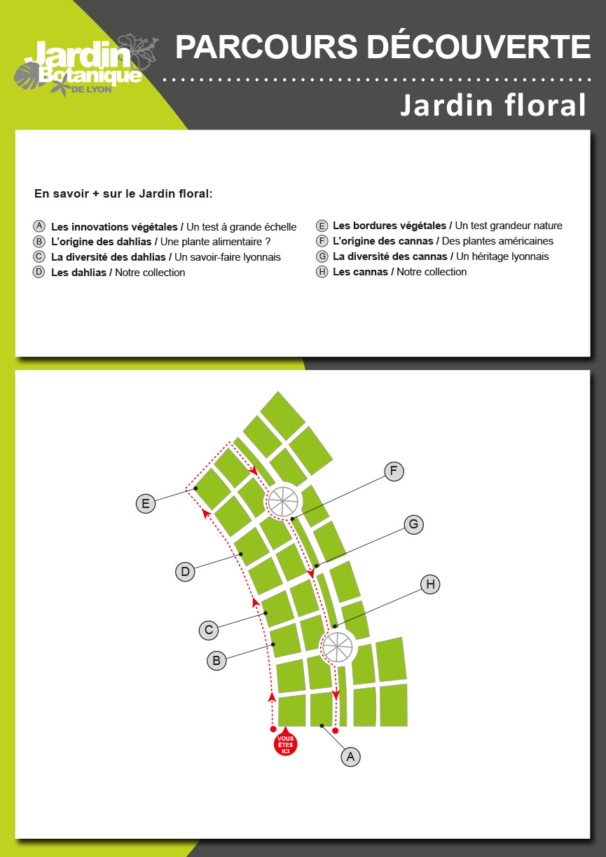 Circuit