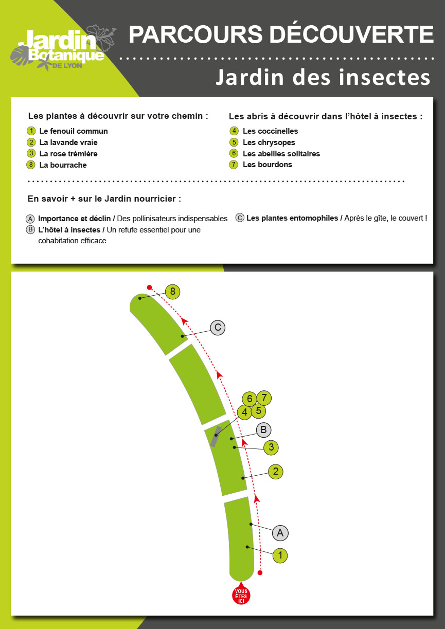 Circuit