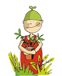 ILLUSTRATION_JDP_Biologie des plantes.jpg ILLUSTRATION_JDP_Biologie des plantes.jpg
