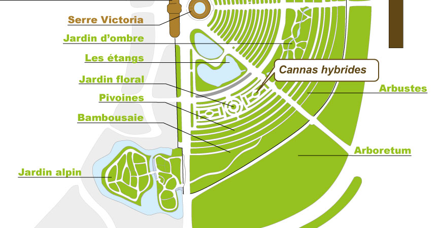 Plan_web_cannas Plan_web_cannas