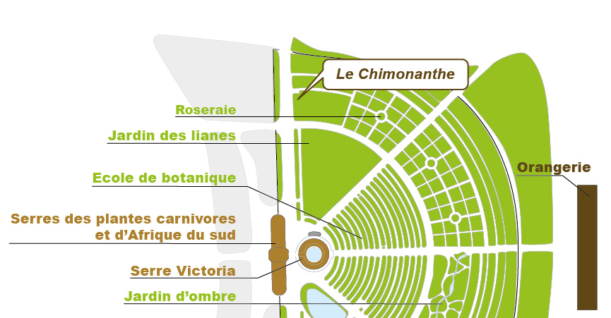 Plan_web - HELLEBORUS SPP Plan_web - HELLEBORUS SPP