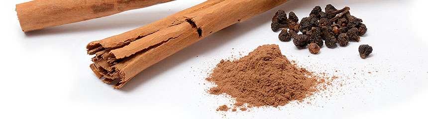 BANDEAU - Cinnamomum_verum BANDEAU - Cinnamomum_verum