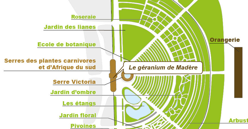 Plan_web - geranium Plan_web - geranium