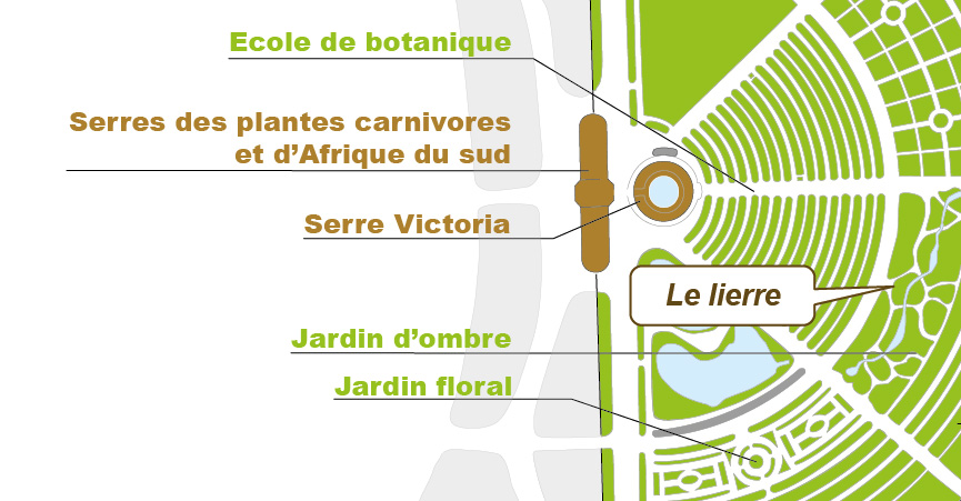Plan_web Plan_web
