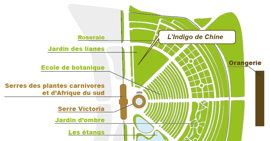 Plan_web - Indigofera Plan_web - Indigofera