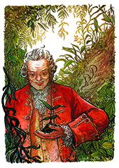 Illustration_poivre.jpg Illustration_poivre.jpg