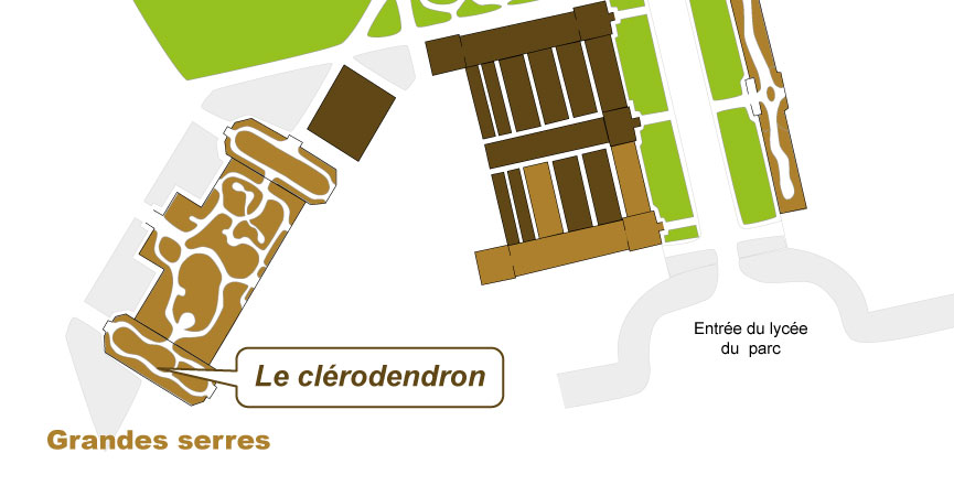 Plan_web Plan_web