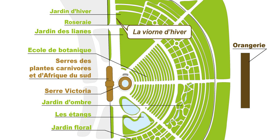 Plan_web - HELLEBORUS SPP Plan_web - HELLEBORUS SPP