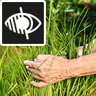 LOGO - BALADE SENSORIELLE LOGO - BALADE SENSORIELLE