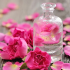 LOGO - PLANTES A PARFUM LOGO - PLANTES A PARFUM