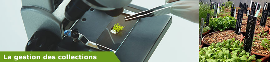 Slider gestion des collections.jpg Slider gestion des collections.jpg