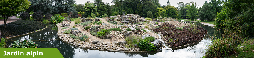 slider_jardin_alpin.jpg slider_jardin_alpin.jpg
