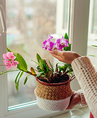 Photo dune femme qui tient un pot avec une orchide en fleur