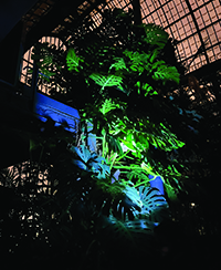 Photo de l’intérieur de la Grande serre de nuit avec juste l’éclairage d’une lampe torche. Photo de l’intérieur de la Grande serre de nuit avec juste l’éclairage d’une lampe torche.