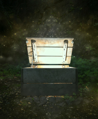 ILLUSTRATION_  anniv mission jardinier.jpg